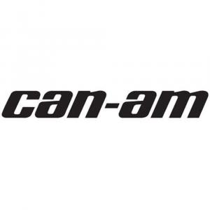 Category Can-Am image