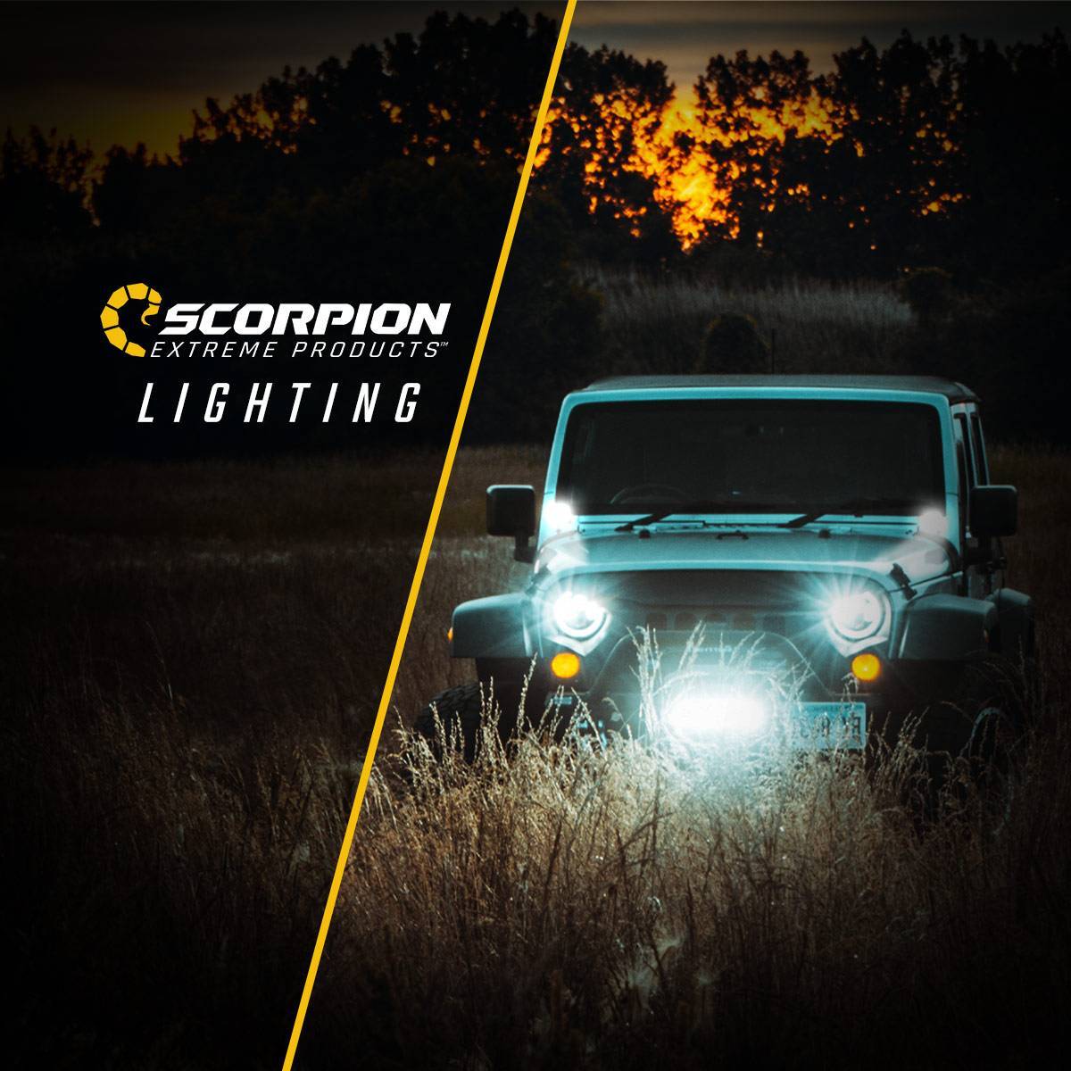 Scorpion Extreme Lighting